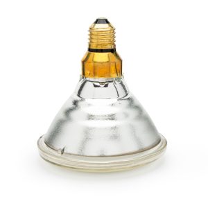 Curalux Infrared PAR38 Clear Bulb – 240 V 175 W