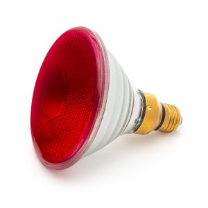 Curalux Infrared PAR38 Ruby Bulb – 240 V 150 W