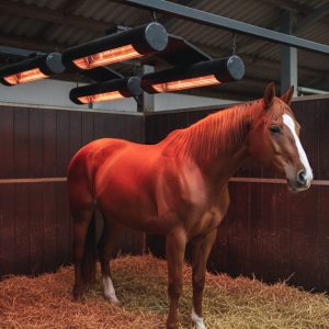 Curalux CLHS-30 – 3.0 kW Horse Solarium (Infrared Therapy Unit)